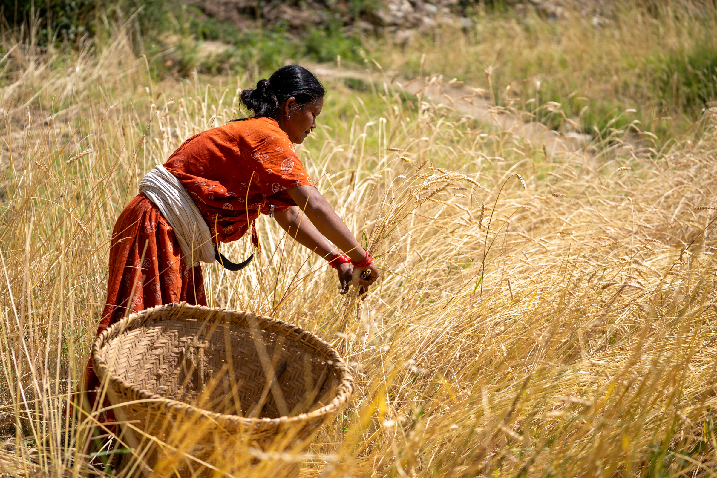 Nepal, Tearfund